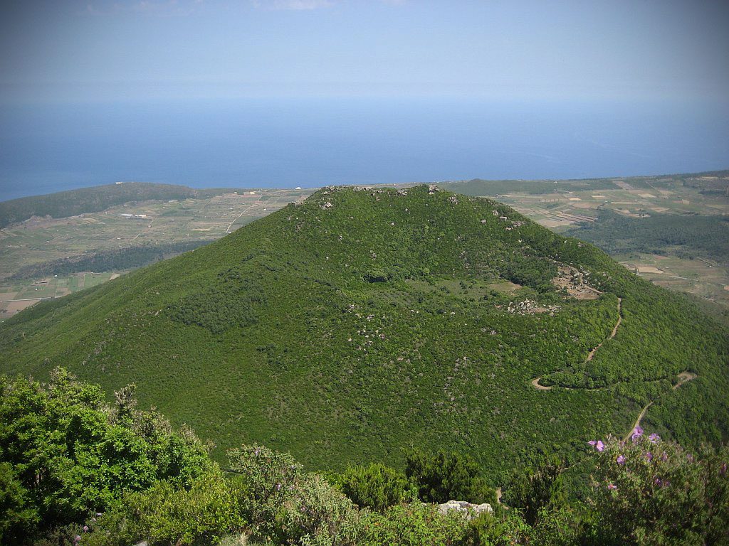 Monte Gibele