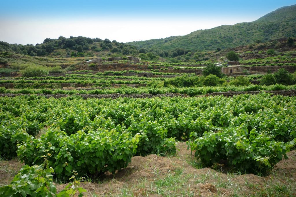 Piana di Ghirlanda